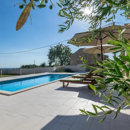 Monteci